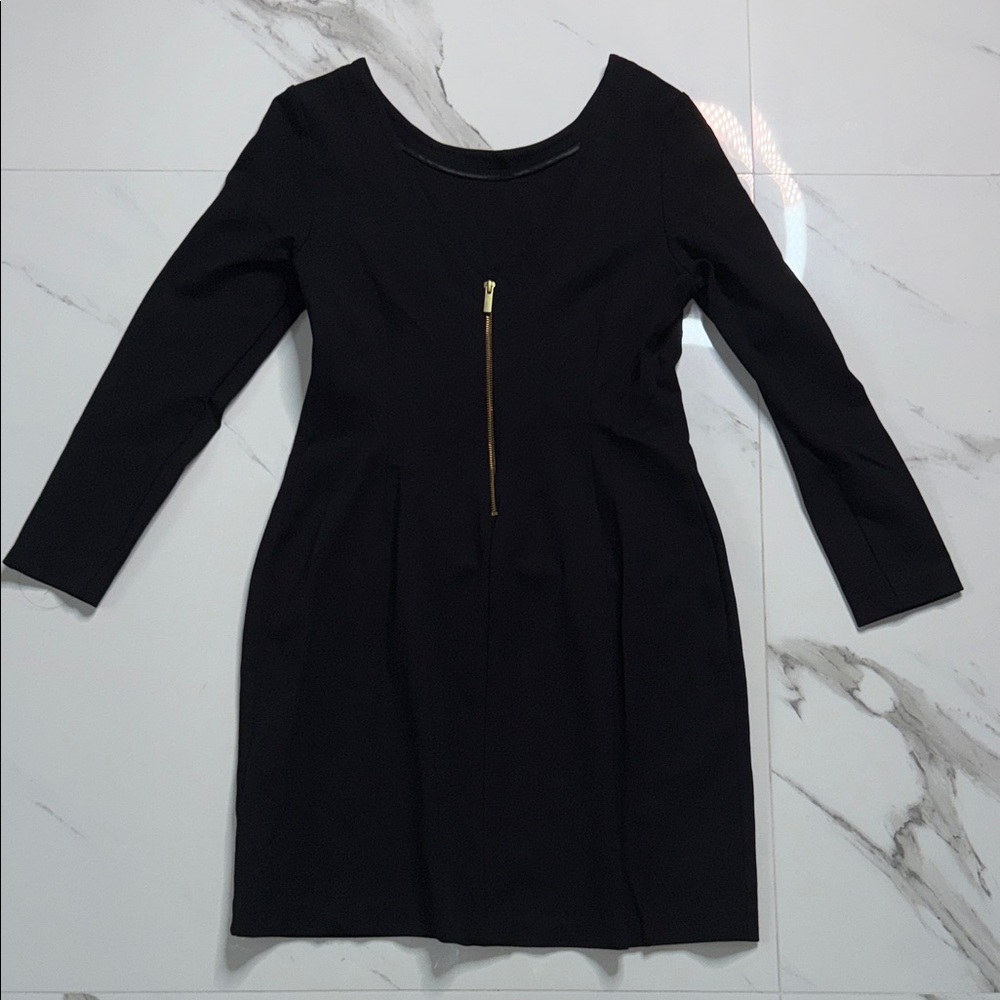 Banana Republic Black Dress with Gold Zipper
